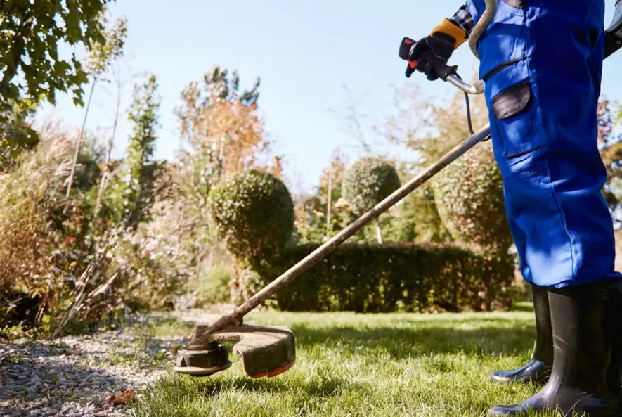 Lawn mowing and edging