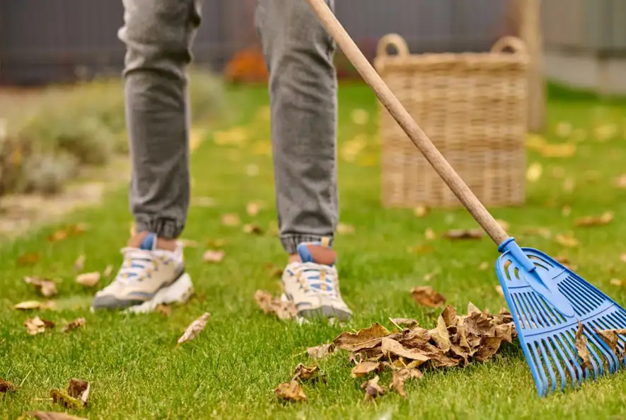 Seasonal garden clearance